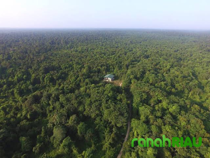 Cium keganjilan, SARAP desak APH agar lakukan Pemeriksaan ke Pejabat yang diduga Bertindak Korupsi